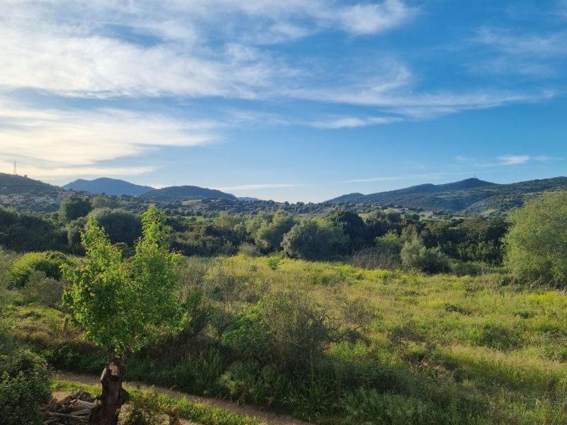 Il Casale Βίλα Budoni Εξωτερικό φωτογραφία